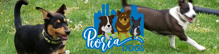 Peoria Dogs Information for dog owners in and around Peoria Illinois